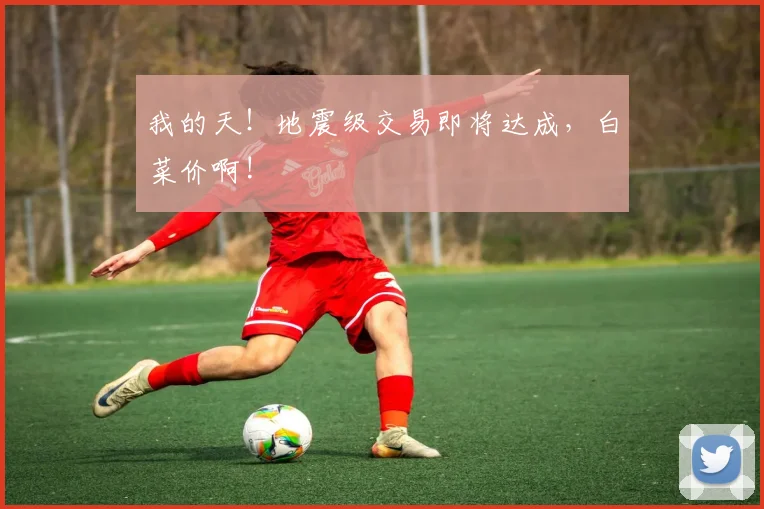 我的天!地震级交易即将达成,白菜价啊!